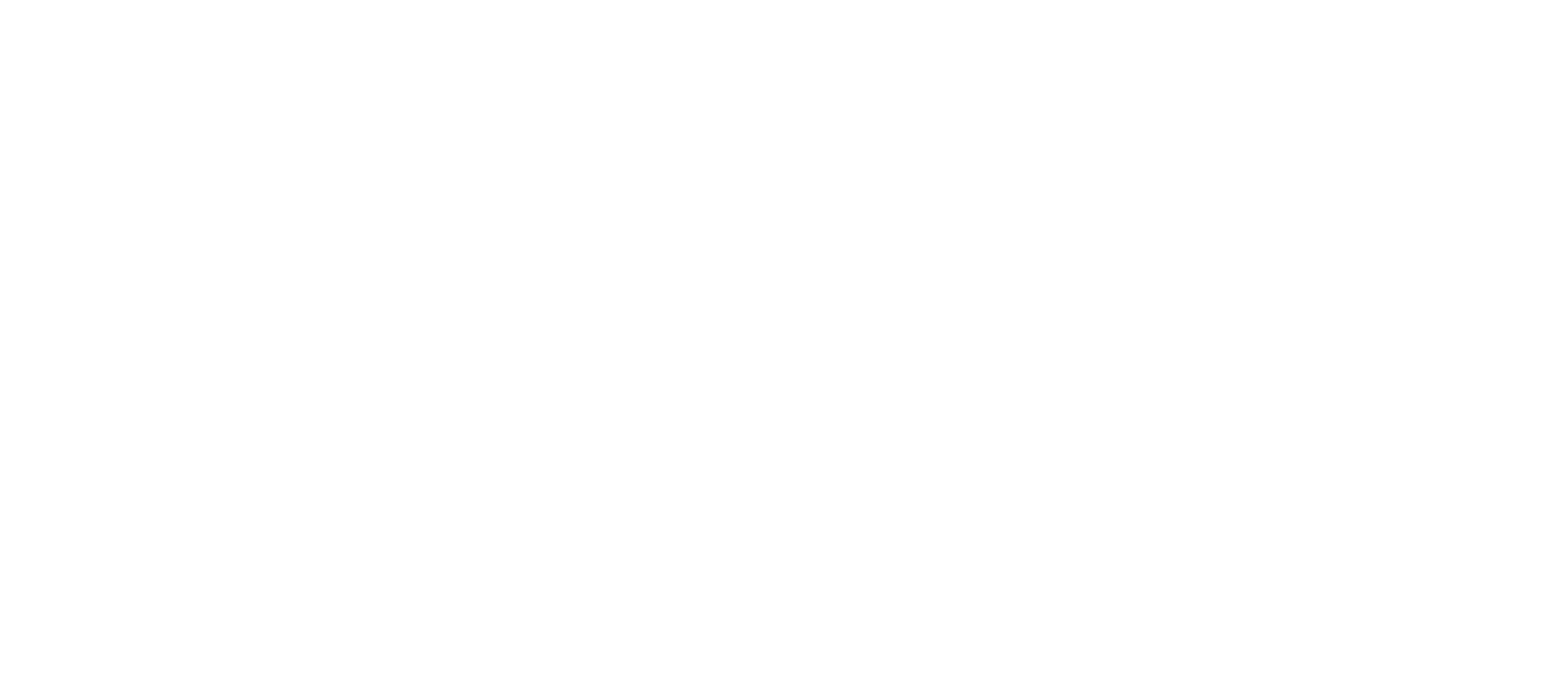 Flyer View Group logo White